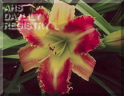 Arnie Oseland AHS image