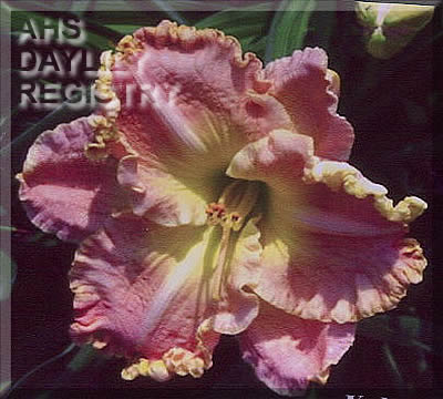 Shirley Wade AHS image