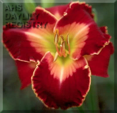 Bridgeton Icon AHS image