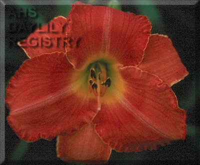 Bridgeton in August AHS image