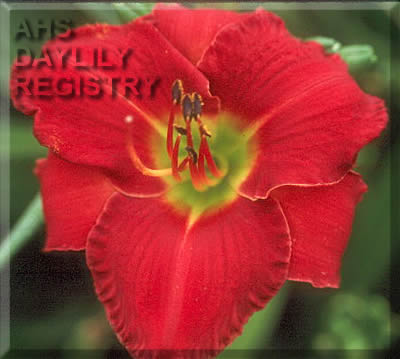 Bridgeton Ivy League AHS image