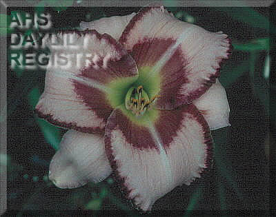 Tafetta and Velvet AHS image