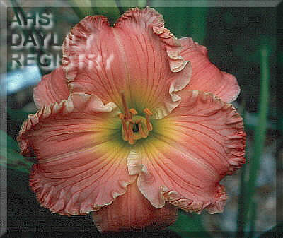 Regina Marie AHS image