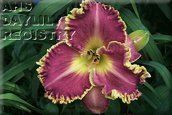 Mercies of David AHS image