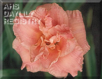 Mae Sackett AHS image