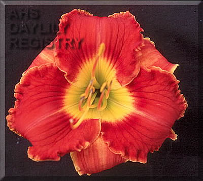 Indy Zephyrhill AHS image