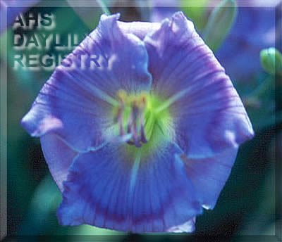 Indy Blue Symmetry