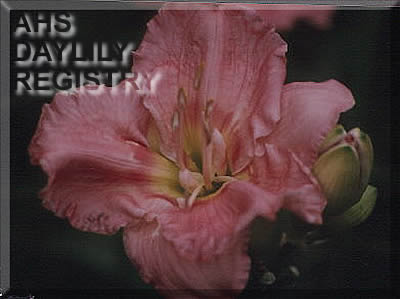Molly Malone AHS image