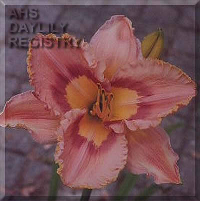 Rejeanne Pomerleau AHS image