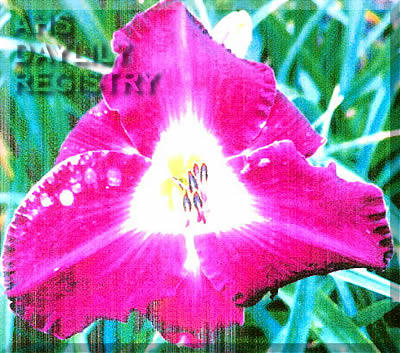 Mer En Furie AHS image