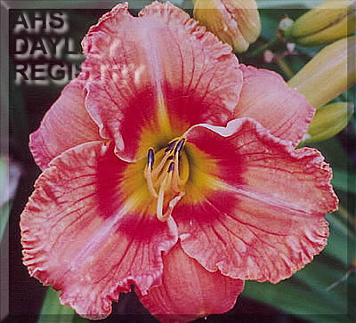 Terre Indienne AHS image