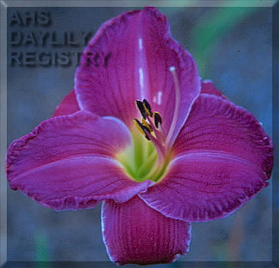 Sagamore Mary and George AHS image