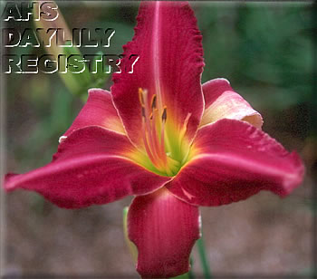 Sagamore Carol AHS image