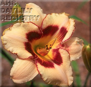 Sagamore Kathryn West AHS image