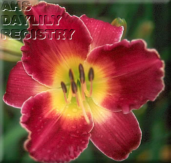 Sagamore Brett Bybell AHS image