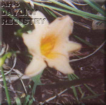Marzanna's Peach Ripe AHS image