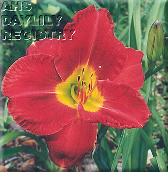 Sallie R. Johnson AHS image