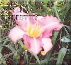 Rosemary Jacobs AHS image