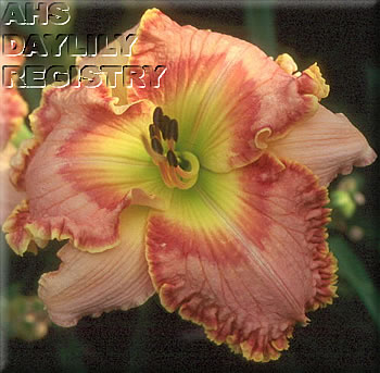 Strauss Waltz AHS image