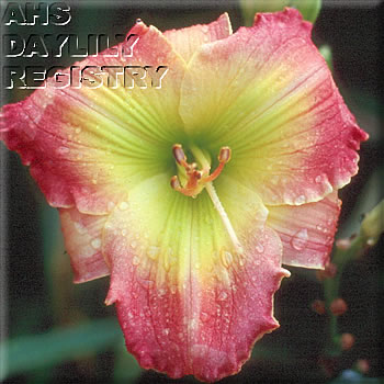 Hummingbird Harmony AHS image