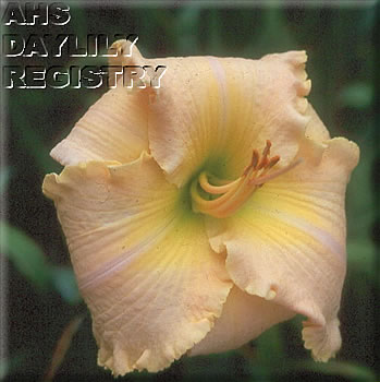 Molly Macbutter AHS image