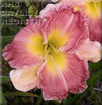 Quiet Enjoyment AHS image