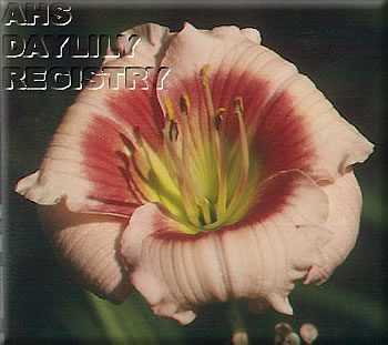 Lilabelle Celeste AHS image