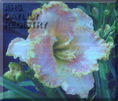 Pacific Pearl AHS image