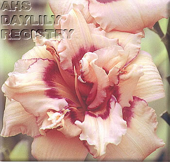 Dual Nature AHS image