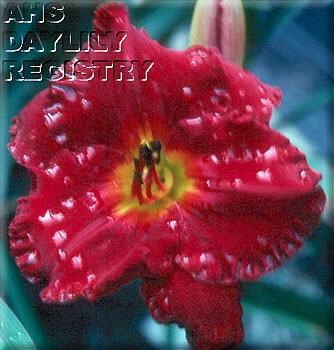 Lamar Richard Beck AHS image