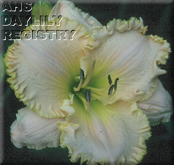 Harmony Sunday Sashay AHS image