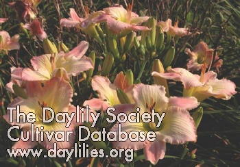Summertime Idyll AHS image