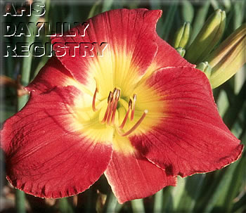 Westfield Beaujolais AHS image