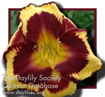 Pumpkin Bandit AHS image
