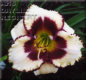 Victoriève AHS image