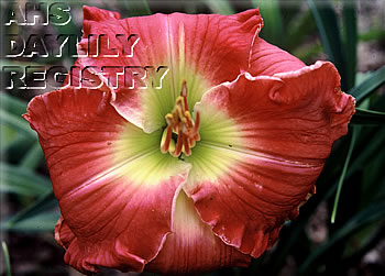 Rose Monument AHS image