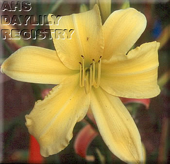 David Beckett AHS image