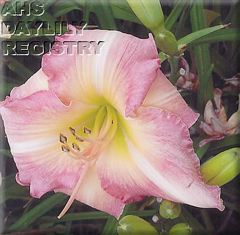Heavenly Faith AHS image