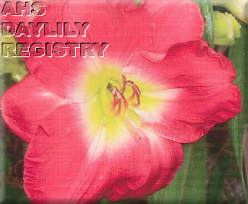Velvet of Oz AHS image