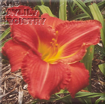 Sybil Henderson AHS image
