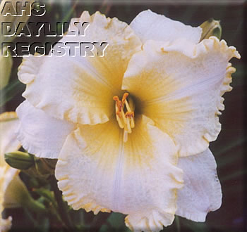 L'ange Helene AHS image
