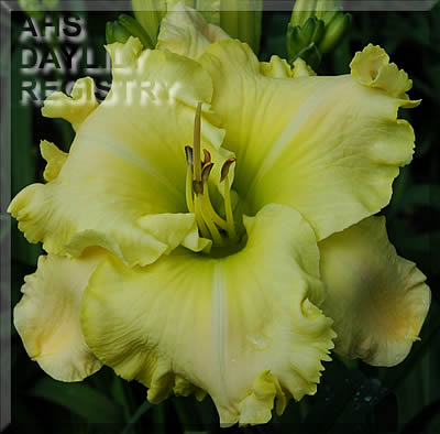 Jade Glow AHS image
