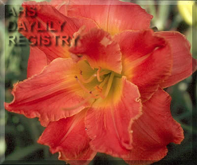 Just a Jewel AHS image