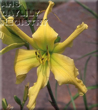 Green Martian AHS image