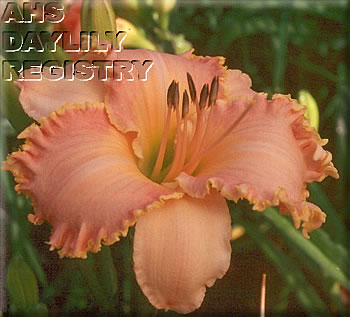 Garden Go Getter AHS image