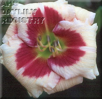 Yuggy AHS image