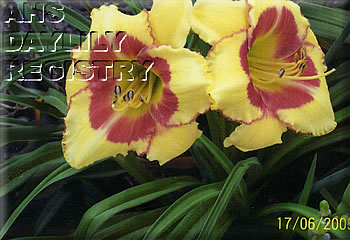 Flint Hills Darrel AHS image