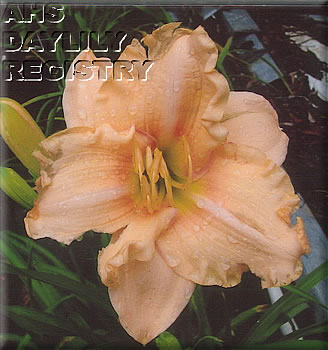 Carol Allbritton AHS image