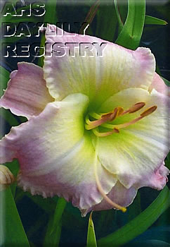 Softly and Tenderly AHS image