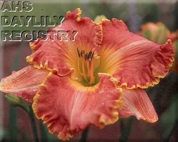 Trudy Petree AHS image